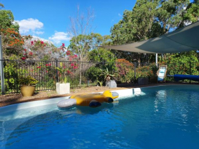 Gowrie Agapanthus, Singleton